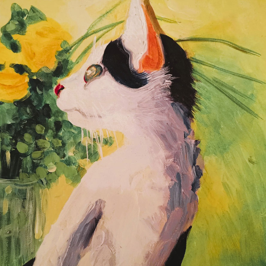 Junge Katze mit schwarzweißem Fell schaut nach links