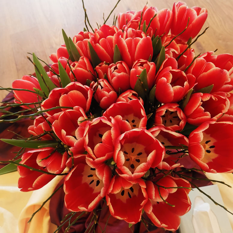 ein Strauß rote Tulpen